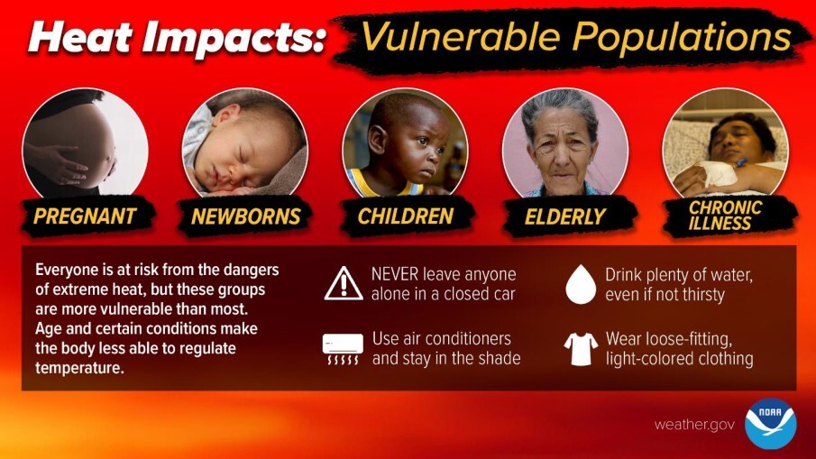 Heat Impacts Infographic