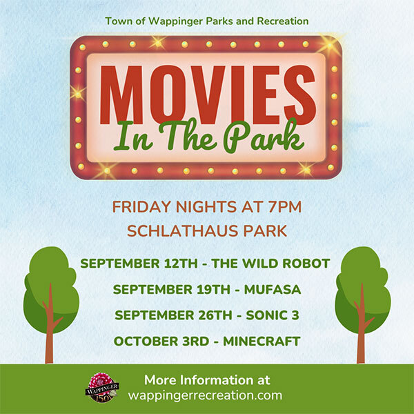 Movies in the Park Flyer 