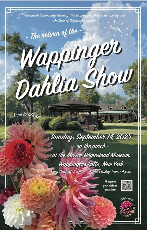 Wappinger Dahlia Show