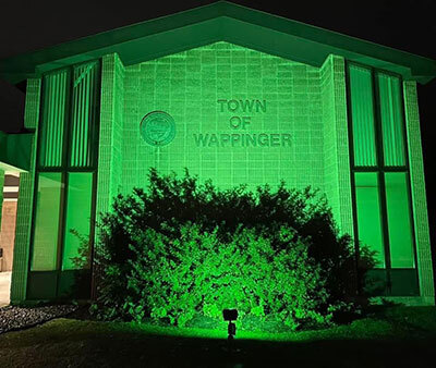 Operation-Green-Light