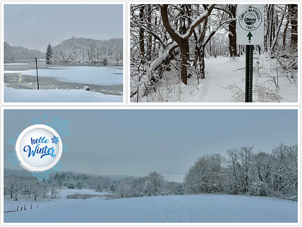 Town winter Landscape