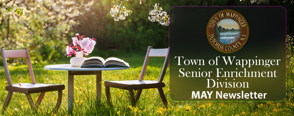 Senior-Enrichment-Eblast-Header---may26