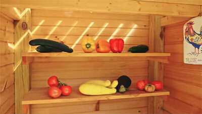 Local Fresh Produce