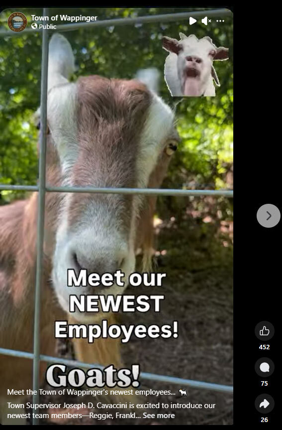 Wappinger Goats