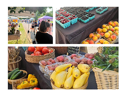 Farmers Stand Display