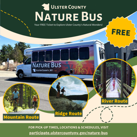 Nature Bus