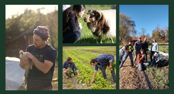 agriculture and farms in ulster county