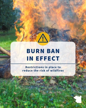 Burn Ban in Effect for Ulster County