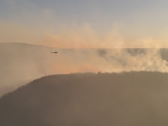 Whitehouse Wildfire Picture