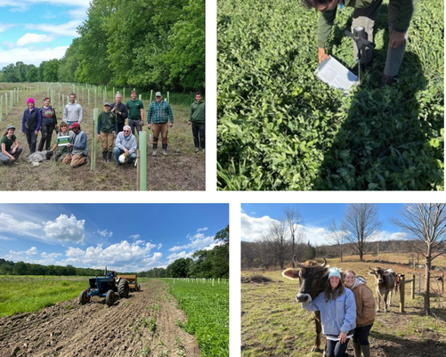 Ulster County Soil and Water Conservation District County Spotlight Collage