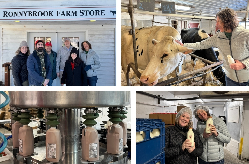 Collage of images from Ronnybrook farm: group photo with County officials and Ronnybrook owners; CE Metzger petting a cow; chocolate milk bottles
