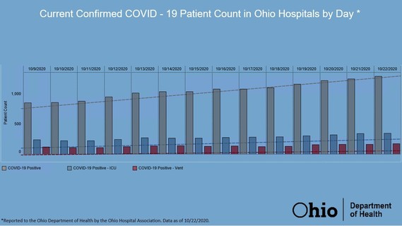 Confirmed COVID-19 Patient Count