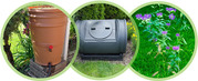 rain barrel, compost bin, and native plants