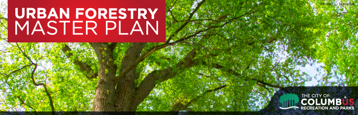 Urban Forestry Master Plan Header