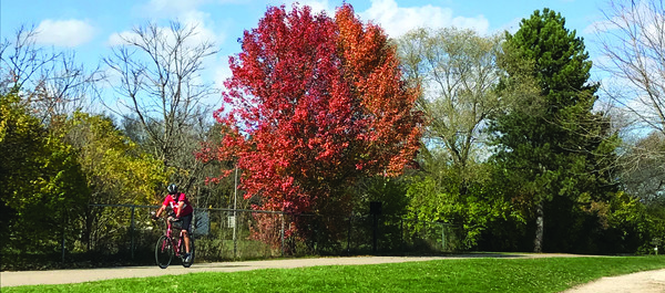 Olentangy Trail