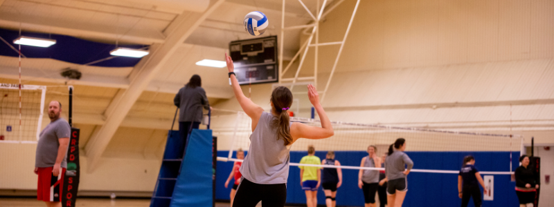 Adult Volleyball Leagues