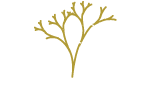 Simply Living logo of a tree