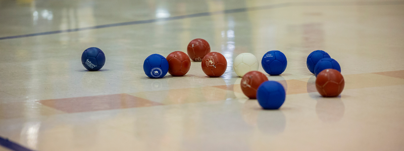 Boccia Balls