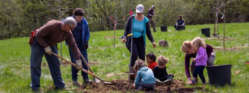 Tree Planting