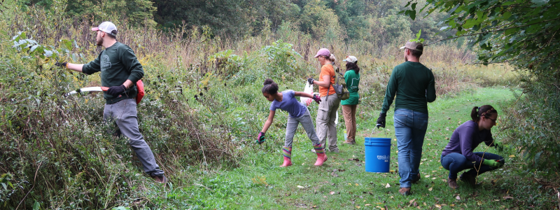 Pollinator Field Day
