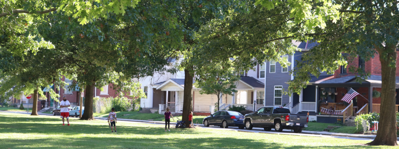 People standing in a park around trees