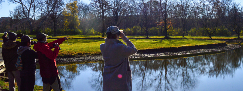 Birding on Golf Course