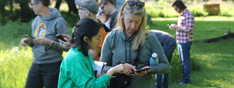 pollinator documentation