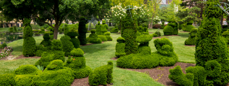Topiary