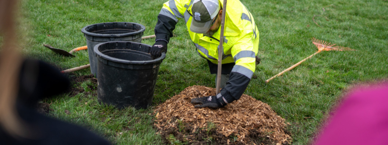 Columbus Recreation and Park Staff Planting Tree