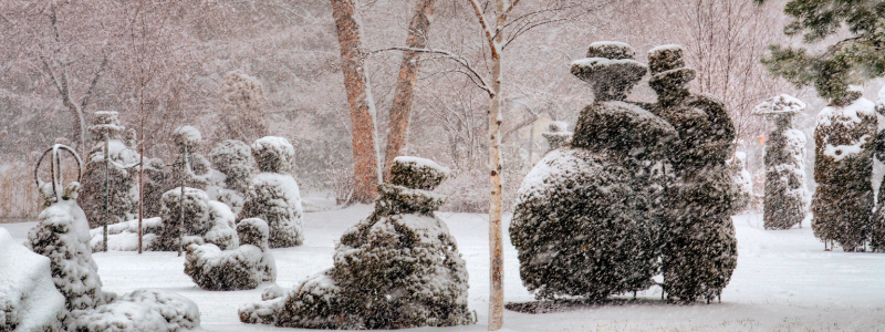 Topiary Garden During the Snow