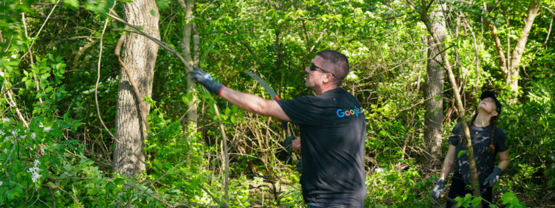 Volunteer