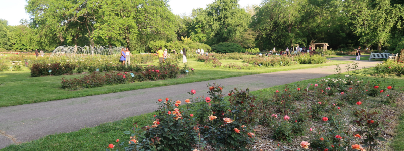 Columbus Park of Roses