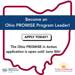 Become an Ohio PROMISE Program Leader Apply Today. Ohio PROMISE in Action application is open until June 8.