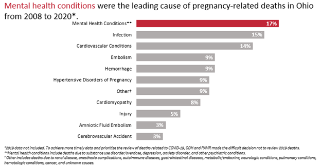 Chart showing that mental health conditions were the leading cause of pregnancy-related eaths in Ohio from 2008 to 2020.