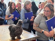 Early education professions enjoy a close encounter with a very fluffy chicken at COSI.