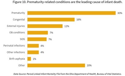 Graph showing prematurity causes 30% of infant deaths and is the leading cause, followed by congenital, external injuries, OB, SIDS
