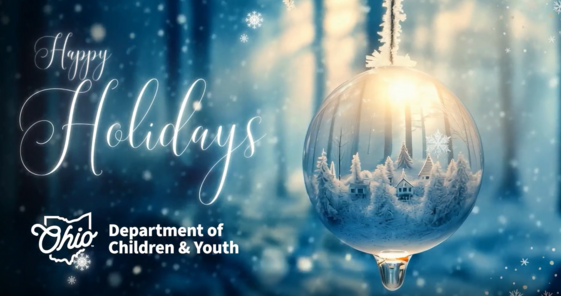 Happy Holidays from DCY. Images shows a ball decoration hanging on the right, with text on the left and snowflakes falling.