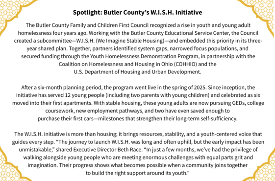 W.I.S.H. (We Imagine Stable Housing) partners identified system gaps, chose focus populations, and secured funding to house 12 youth.