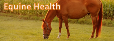 Horse Health