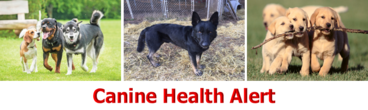 Canine Health Alert