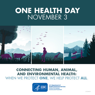 OneHealth Day
