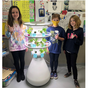 Students at Carrollton Exempted Village School District growing lettuce with the Lettuce Grow Towers.