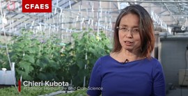 Chieri Kubota: Controlled Environment Plant Systems