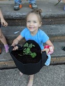 Elsa is planting her Sun Gold tomato plant in a fabric bag!