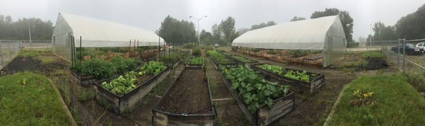 The Marion Microfarm contains raised beds and high tunnels.