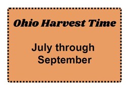 Ohio Harvest Time Button