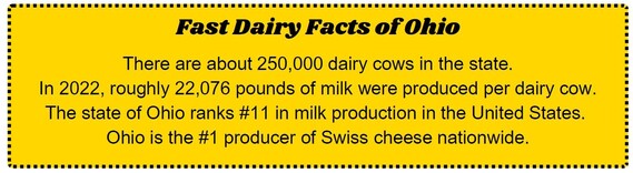 Fast Dairy Facts