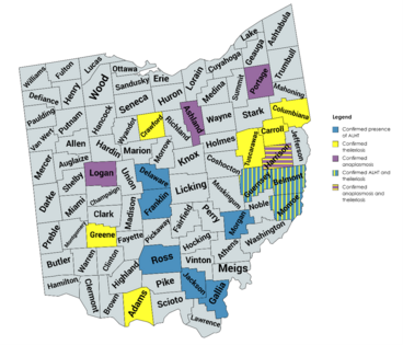Theileria infections in Ohio