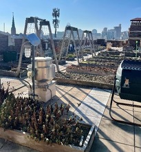 Rothenberg Rooftop Garden