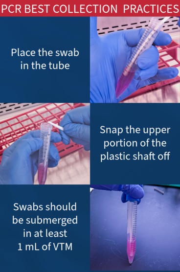 PCR Practice